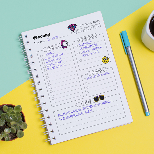 Pegatinas Modelo DISCO